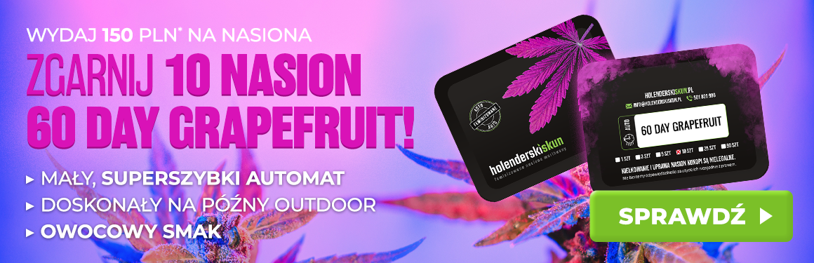 60 Day Grapefruit GRATIS